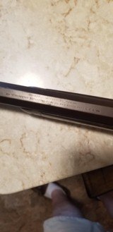 Winchester 1886 Saddle Ring 22