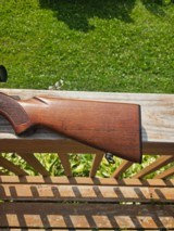 PRE-64 Winchester Model 100 284 WIN 1963 - 6 of 14