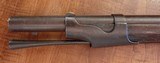 Harpers Ferry U.S. Model 1842 Percussion Rifle Manufactured in 1844 - 10 of 12