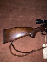 Remington 700 25-06 - 4 of 5