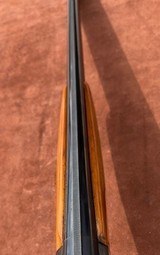 ANTONIO ZOLI SILVER SNIPE 12 GAUGE - Image 12 of 13