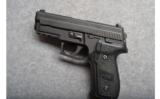 Sig Sauer Model P229 In .40S&W - 3 of 6