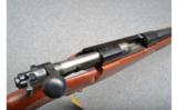 Winchester Limited Edition Mod 70 In 7mm ReMag - 3 of 6
