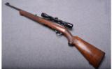 Winchester Model 100 ~ .243 Win. - 2 of 9
