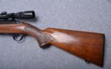 Winchester Model 100 ~ .243 Win. - 4 of 9