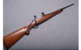 RUGER M77 In .243 WIN - 1 of 8