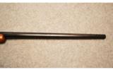 Argentine Mauser in 257 Roberts - 9 of 9