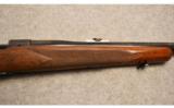 Winchester Model 70 Pre 64 in 375 H&H - 8 of 9