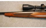 Winchester Model 70 In 223 Remington - 6 of 9