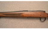 Remington ~ 700 ~ .270 Win. - 8 of 9