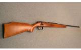Remington ~ 580 ~ .22 LR shot cartridge - 1 of 9