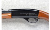 Remington ~ 552 Speedmaster ~ .22 S, L & LR - 8 of 10