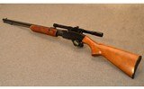Remington~572 Fieldmaster~.22 S, L, LR - 6 of 10