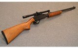 Remington~572 Fieldmaster~.22 S, L, LR - 1 of 10