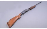 Remington ~ 760 Gamemaster ~ 30-06 Springfield