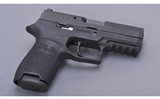 SIG Sauer ~ P320 ~ 9mm