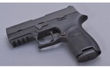 SIG Sauer ~ P320 ~ 9mm - 2 of 2