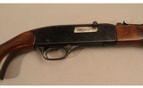 Winchester ~ Model 190 ~ 22 LR - 3 of 10