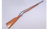 Remington ~ Rolling Block ~ 45 Long Colt
