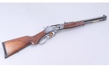Henry Repeating Arms ~ H010G ~ 45-70 Government - 1 of 10