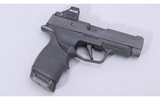 SIG Sauer ~ P365XL ~ 9mm - 1 of 2