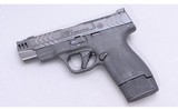 Smith & Wesson ~ M&P9 Shield Plus ~ 9mm - 2 of 2