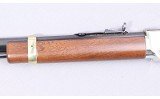 Henry Repeating Arms ~ Golden Boy Law Enforcement ~ 22 S, L, LR - 6 of 10