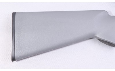 Remington ~ 597 ~ 22 LR