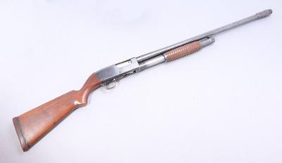 Western Field ~ 40N ~ 12 Gauge