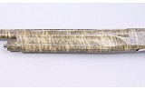 Retay ~ Gordion ~ 12 Gauge - 6 of 10