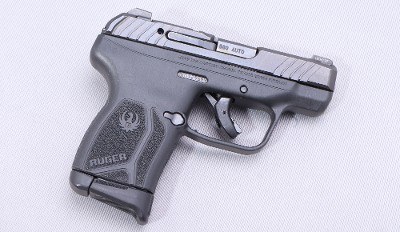 Ruger ~ LCP Max ~ 380 Auto