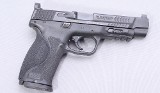 Smith & Wesson ~ M&P9 M2.0 ~ 9mm