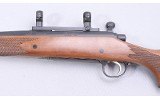 Remington ~ 700 ~ 270 Winchester - 8 of 10