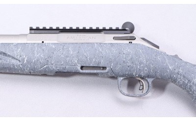 Ruger ~ American ~ 350 Legend - Image 8 of 10