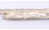 Benelli ~ Super Black Eagle III ~ 12 Gauge - 6 of 10