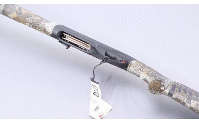 Benelli ~ SBE II ~ 28 Gauge (Rob Roberts Custom Gunworks) - Image 7 of 10