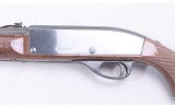 Remington ~ Nylon 66 ~ 22 LR - 8 of 10