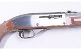 Remington ~ Nylon 66 ~ 22 LR - 3 of 10