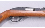 Glenfield ~ Model 60 ~ 22 LR - 3 of 10