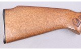 Glenfield ~ Model 60 ~ 22 LR - 2 of 10