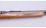 Glenfield ~ Model 60 ~ 22 LR - 4 of 10