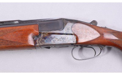 SUHL ~ Special ~ 12 Gauge - Image 8 of 10