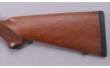 Ruger ~ 77/22 ~ 22 WMR - 9 of 10