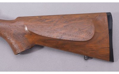Daisy MFG. ~ 2203 ~ 22 LR - Image 9 of 10