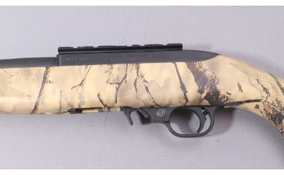 Ruger ~ 10/22 ~ 22 LR - Image 8 of 10
