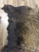 Full size Buffalo hide - 6 of 9