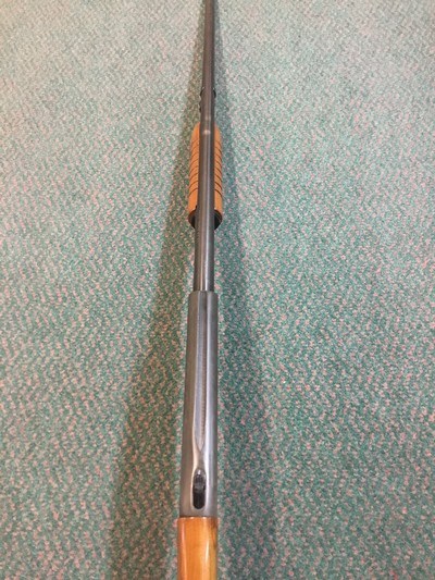 Western Field , model XNH-480-G, 410 bore - Image 12 of 13