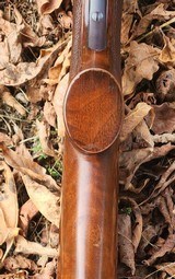 Winchester 21 Duck 3