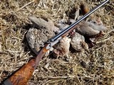 James Lang best hammer pigeon 12 bore bar in wood - 3 of 15