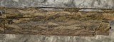 Benelli Super Black Eagle 3 Steadygrip Mossy Oak 12GA 28" (98F) - 2 of 6